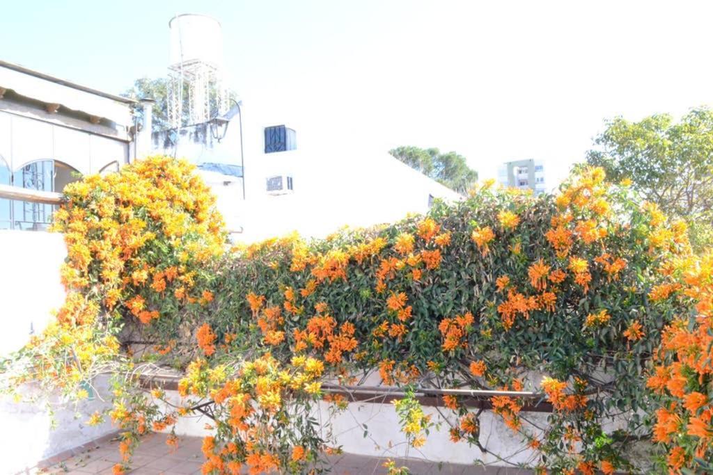 Casa Colonial En Salta Nueva Y Antigua Apartment ภายนอก รูปภาพ